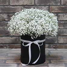 Цветочная композиция из Гипсофила в шляпной коробке #REPLACE_PRED# Николиной горе