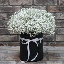 Цветочная композиция из Гипсофила в шляпной коробке в Николиной горе